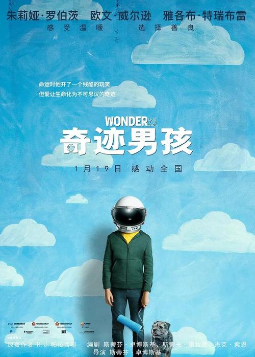 一比一仿土耳其签证